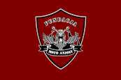 logo fundacji moto anioły